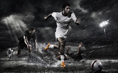 专家们甚至 专家们甚至